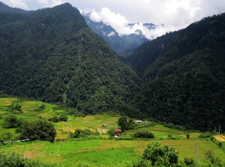 खतरा अब पहाड़ो पर भी बढ़ने लगा कोरोना संक्रमण लोगों की लापरवाही का नतीजा