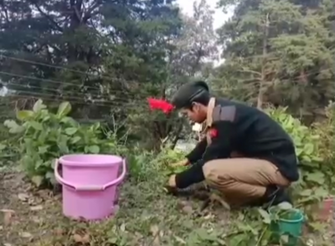 उत्तराखंड : नैनीताल विश्व पर्यावरण दिवस के मौके पर एन सी सी छात्र छात्राओं द्वारा किया गया बृक्षारोपण।