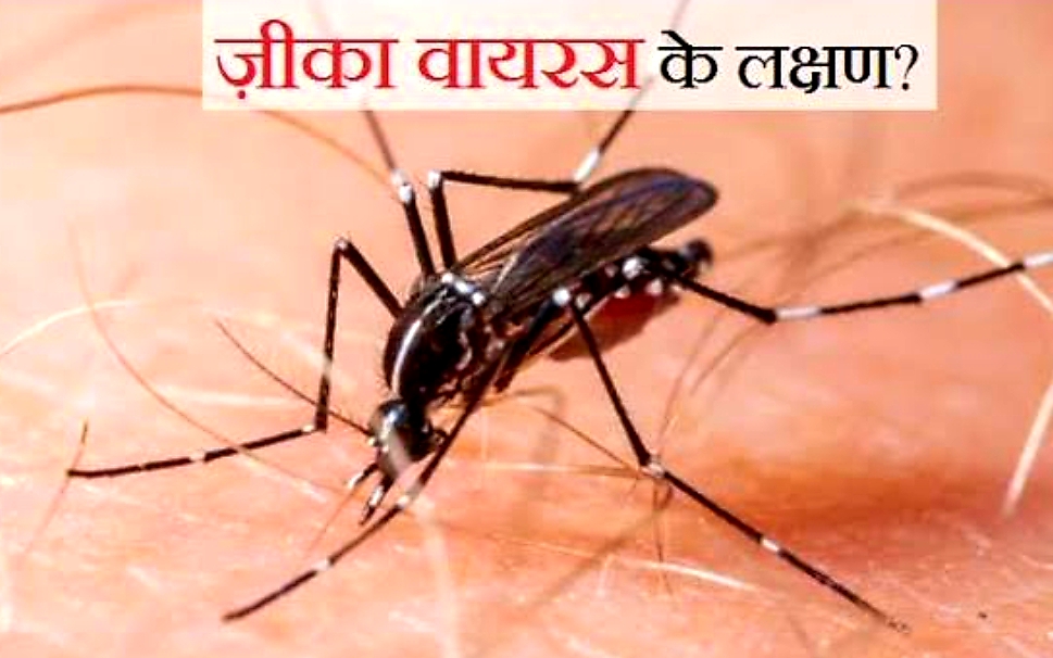 नई आफत : जीका वायरस के 14 मामले केरल में, कोरोना के मामलो में भी बढ़ोतरी….