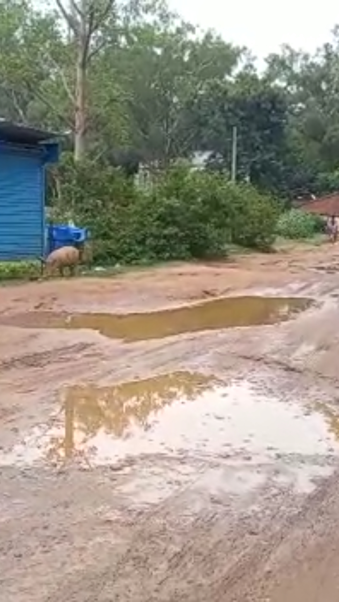 झारखण्ड / गुमला : जान को जोखिम में डालकर चलने को  मजबूर है जनता