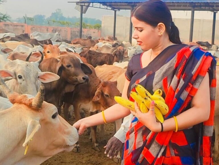 अयोध्या- भाजपा नेत्री स्वाति सिंह ने पीएम से की अपील : गौ माता को ‘राष्ट्र माता’ का दर्जा दें