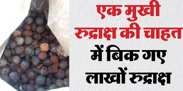 2025 महाकुंभ- रुद्राक्ष फल मात्र 20 रुपये में,एक मुखी मिले तो किस्मत आपकी, ये वाला सबसे अधिक महंगा और प्रभावशाली