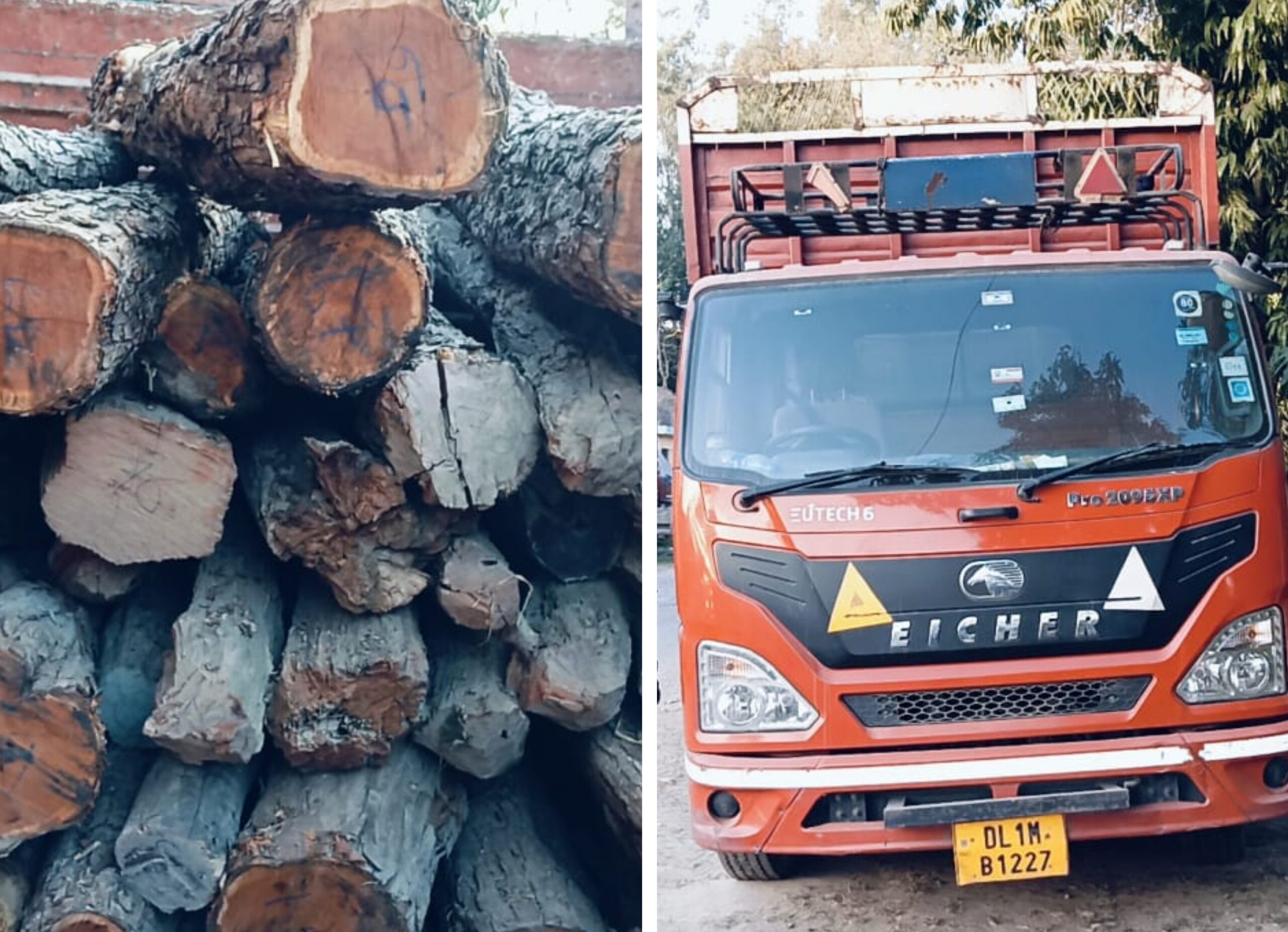 लालकुआँ:-  लकड़ी तस्करी के खिलाफ वन विभाग का बड़ा एक्शन”मचा हडकंप।