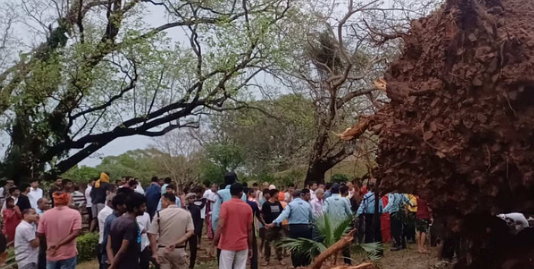 Bihar- नालन्दा में प्रचंड आंधी तूफान से 21 लोगों की मौत, मुख्यमंत्री नीतीश कुमार ने जताया दुःख