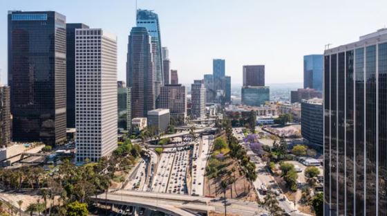 ह्यूस्टन में 3 शव मिलने के बाद सीरियल किलर की अफवाह फैली, दलदली जगह से मिल रही लाशें