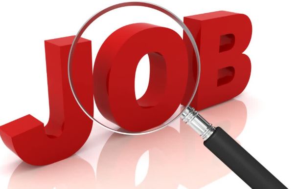 Recruitment: HC में निकली 8वीं पास के लिए भर्ती, आवेदन शुरू, जानें कितने पदों पर होगा चयन