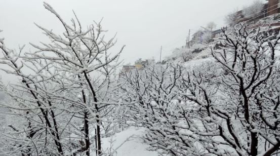 Himachal मौसम: अच्छी बारिश-बर्फबारी की उम्मीद जगी, जानें क्या कहता है ताजा पूर्वानुमान
