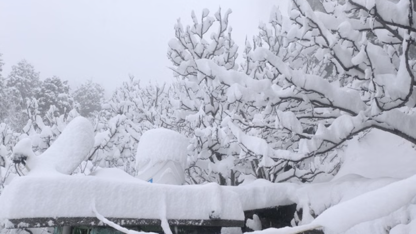 हिमाचल Weather: करवट बदल सकता है माैसम, तीन दिन बारिश-बर्फबारी के आसार, शीतलहर जारी