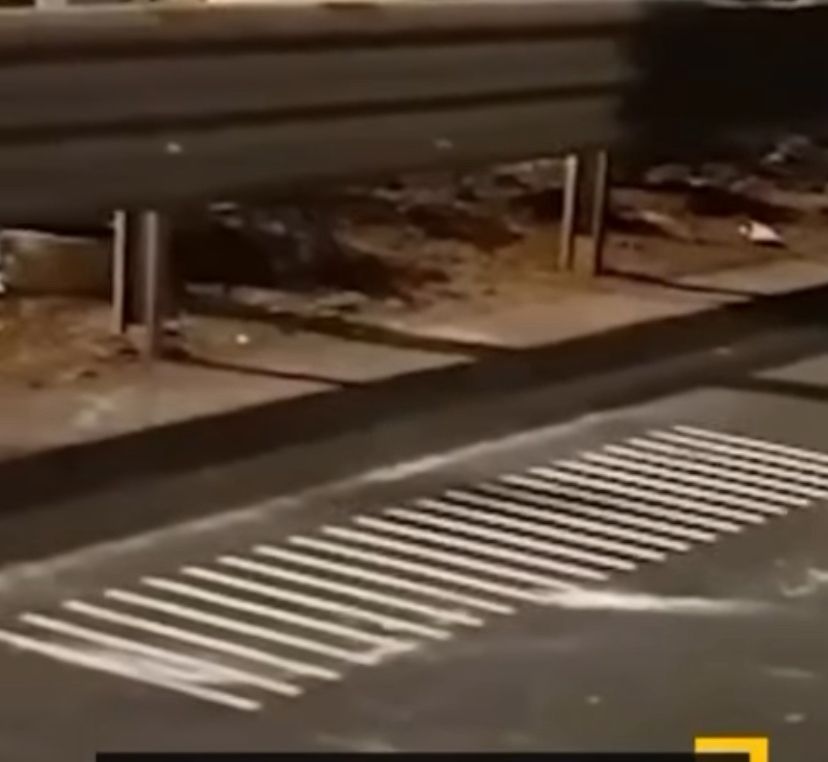 मुंबई में देश की पहली ‘म्यूजिकल रोड’ का शुभारंभ