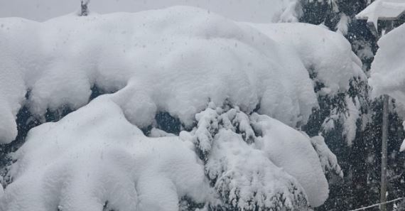 उत्तरकाशी- गंगोत्री और हर्षिल में बर्फबारी का सिलसिला जारी, हाईवे सुक्की टॉप में वाहनों के लिए हुआ बंद