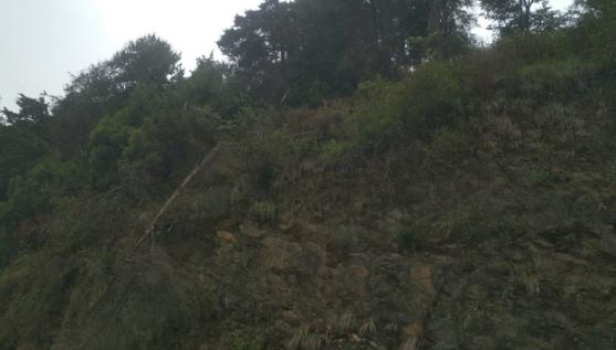 उत्तरकाशी- जसपुर सिल्याण मोटर मार्ग के पास पहाड़ी से गिरा 23 साल का युवक, दर्दनाक मौत