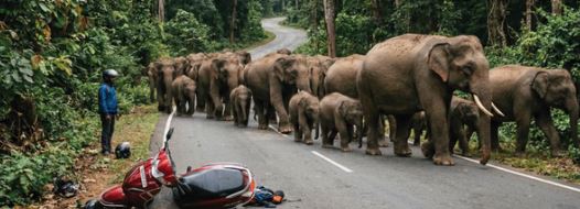 दर्दनाक घटना- घर जा रहे जीजा-साले को कुचला, जाफिर की टूटीं पसलियां, शकील के दोनों कानों से बहा खून