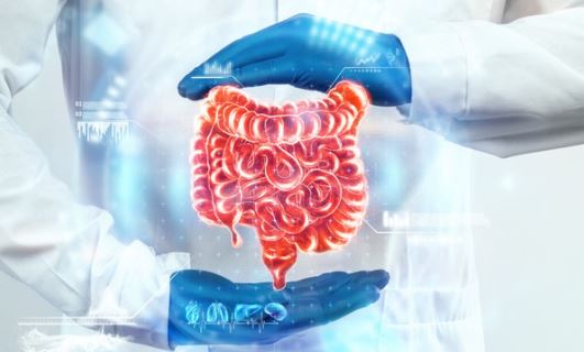 ऋषिकेश AIIMS: युवाओं में भी बढ़ रहा बड़ी आंत का कैंसर, बदलती जीवनशैली, असंतुलित खानपान से चपेट में आ रहे