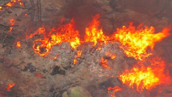 सिलिंडर फटे: धधक उठी बस्ती…25 झोपड़ियां जलीं, 5 किमी दूर तक दिखा धुआं 