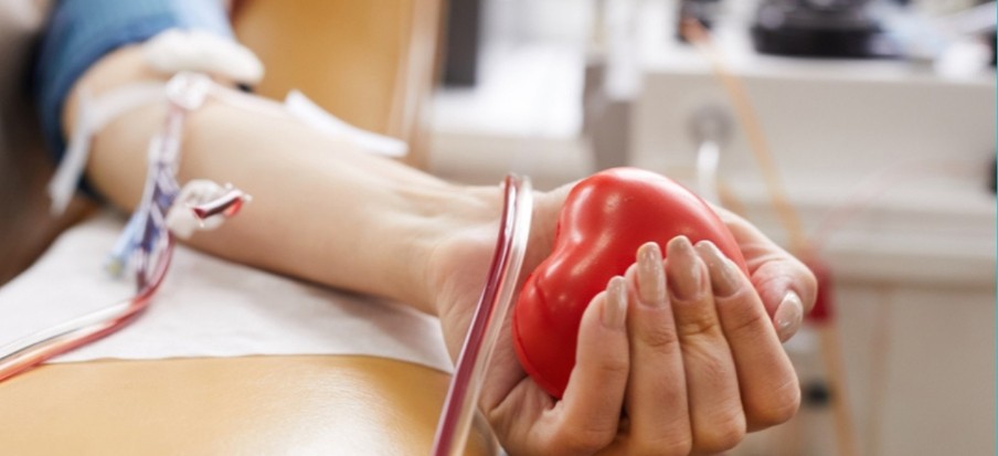 अयोध्या- संत निरंकारी सत्संग भवन रानोपाली मे रक्त दान का भब्य आयोजन,मानव एकता दिवस के अवसर पर मेडिकल कालेज के डाक्टरों ने किया सहयोग