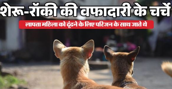 लावारिस कुत्तों ने ढूंढा महिला का शव- रोज खिलाती थी रोटी; पहले ढूंढी साड़ी, फिर नाले में कूदकर शव तक पहुंचाया