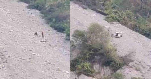 देवप्रयाग- तोताघाटी के पास दिल्ली के श्रद्धालुओं की कार खाई में गिरी, केदारनाथ दर्शन कर लौट रहे थे