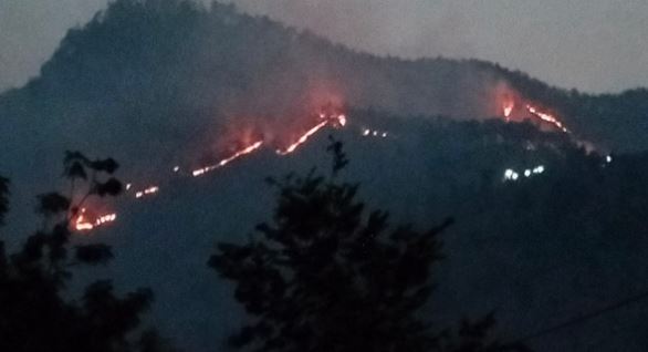आदिबदरी: पहाड़ से लेकर मैदान तक जल रहे जंगल, आग की लपटों में घिरी महिला की मौत