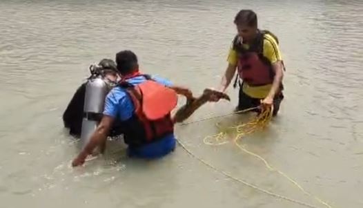 तपोवन घूमने आया नोएडा का युवक स्नान के दौरान गंगा में डूबा, एसडीआरएफ ने निकाला शव