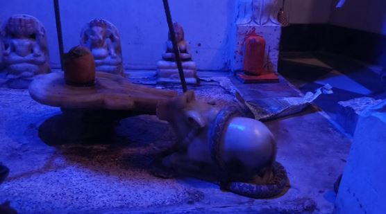 कैसा चमत्कार: शिव मंदिर में नंदी महाराज पर घंटों लिपटा रहा सांप, इलाके में आग की तरह फैली खबर