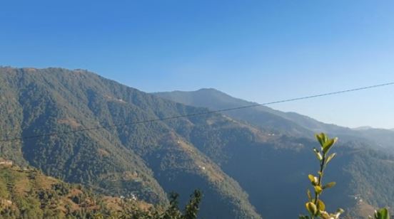 Tehri- चारापत्ती लेने के लिए जंगल गई महिला की पहाड़ी से गिरकर मौत, एयर लिफ्ट करने में हुई देरी