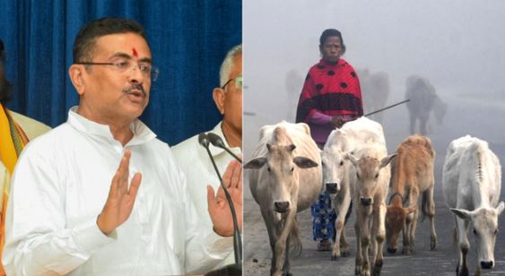 बंगाल: बूचड़खानों को लेकर CM शुभेंदु सख्त, सार्वजनिक रूप से पशु वध पर लगाई रोक, सरकार ने जारी किया नोटिस