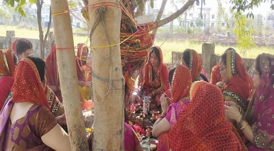 वट सावित्री व्रत- आज है वट सावित्री का व्रत,महालक्ष्मी, बुधादित्य और सौभाग्य योग में किया व्रत…