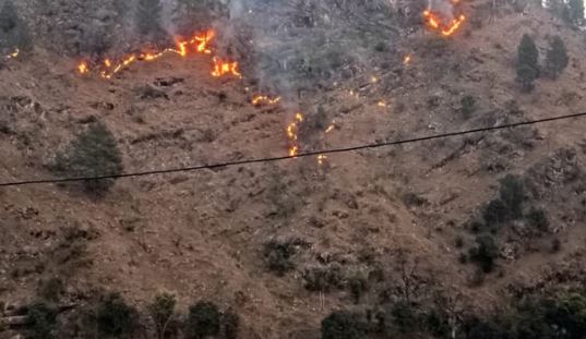 उत्तराखंड: राज्य में 331 हेक्टेयर में वन संपदा को हुआ नुकसान, कई वन प्रभाग बेहद संवेदनशील बने हुए