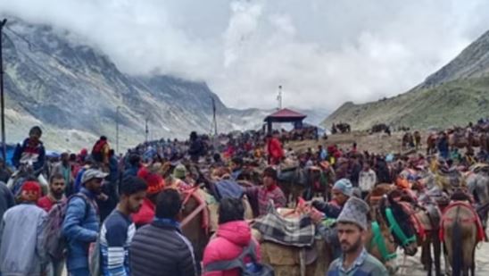 चारधाम यात्रा: घोड़ा-खच्चरों के संचालन के लिए नई SOP, पीटने और तेज दौड़ाने पर रोक, ये गतिविधियां पर रोक 