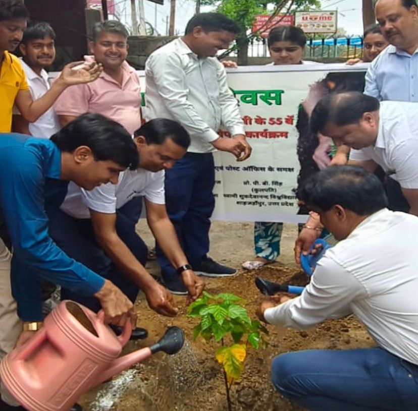 Tree Plantation Drive Held at University Campus on Chief Minister’s Birthday