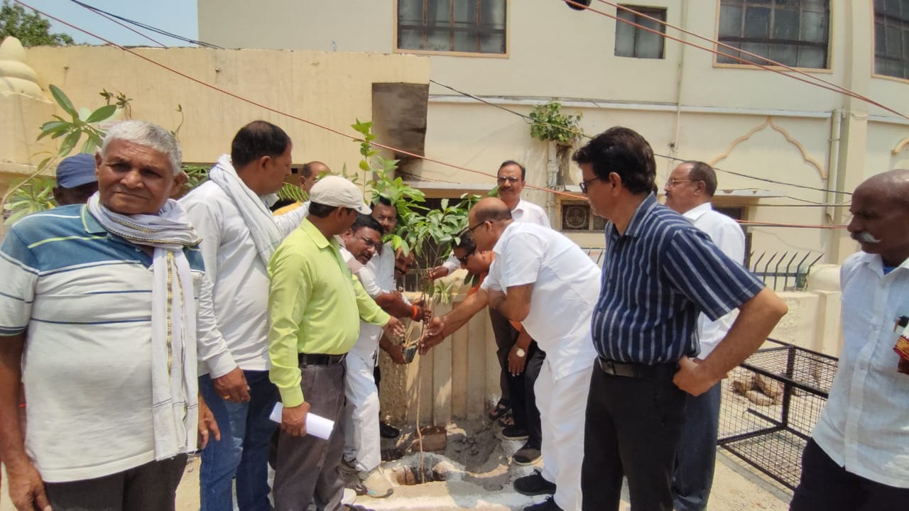 अयोध्या:- पर्यावरण दिवस पर मां शांति सेवा फाउंडेशन ने किया वृक्षारोपण।