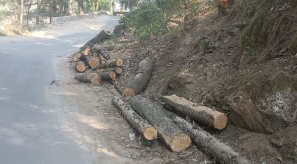 Badrinath Highway: जीरो बैंड से मारवाड़ी तक हाईवे चौड़ीकरण की तैयारी, पेड़ों का कटान शुरू, जाम से मिलेगी राहत