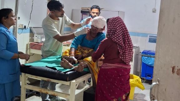 रामनगर- घास काटने गई 65 वर्षीय बुजुर्ग महिला पर बाघ का हमला, गंभीर रूप से घायल