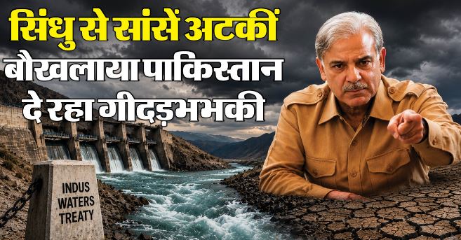 सिंधु के पानी के लिए क्यों बौखलाया पाकिस्तान, क्या दाने-दाने को होने वाला है मोहताज?