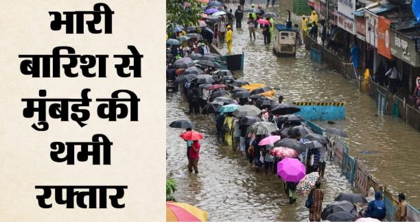 बारिश का कहर: सांताक्रूज में पेड़ गिरने से आठ लोग घायल, पालघर में दीवार ढहने से महिला की मौत
