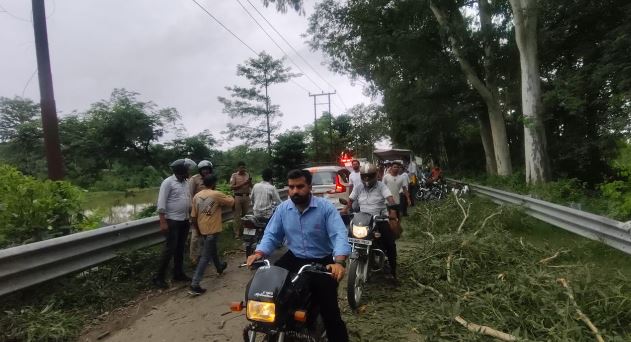 हरिद्वार: कलियर-धनौरी मार्ग पर हादसा, बाइक सवार दो युवकों पर गिरा विशालकाय पेड़ का टहना, दोनों गंभीर घायल
