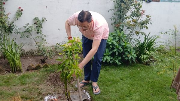 खटीमा: CM धामी ने हरेला पर किया पौधरोपण, बोले- पर्यावरण संरक्षण हम सबकी सामूहिक जिम्मेदारी