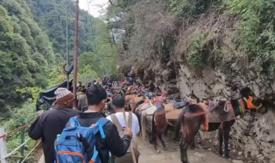 रुद्रप्रयाग- बिना पंजीकरण घोड़ा-खच्चर संचालन पर होगी कार्रवाई, यात्रियों से सम्मानजनक व्यवहार करने के निर्देश
