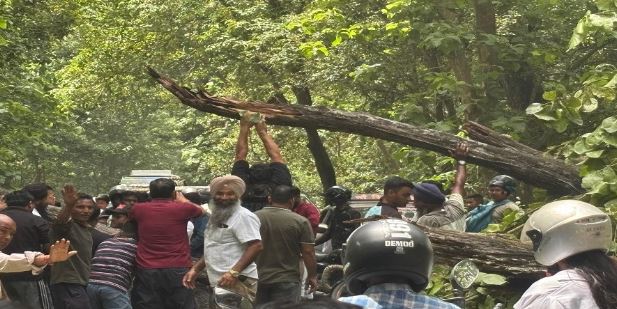 गौलापार – पेड़ गिरा…यातायात ठप, वन विभाग नहीं आया तो ग्रामीणों ने खुद संभाली बागडोर, 45 मिनट में खुला रास्ता