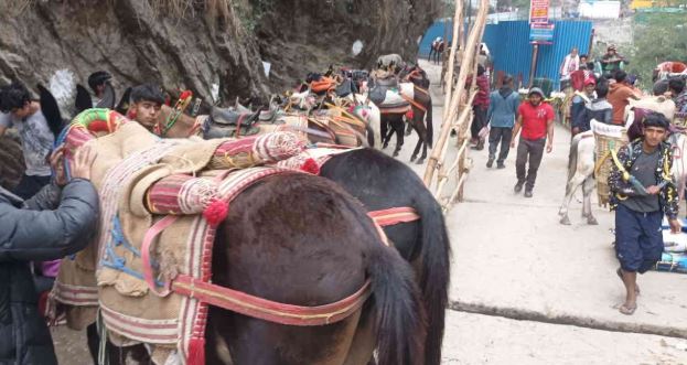 केदारनाथ- पैदल मार्ग पर बढ़ रही गंदगी, लीद की फिसलन से यात्रियों से परेशानी, सफाई व्यवस्था पर सवाल
