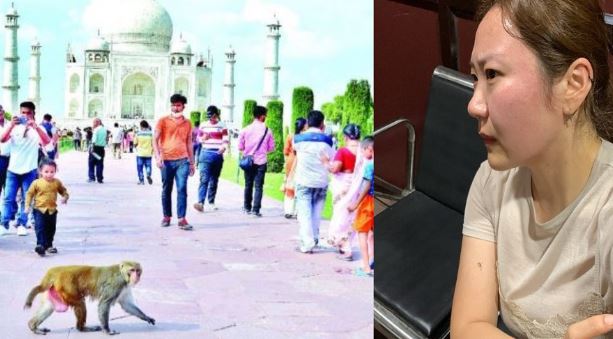 खूंखार हो रहे बंदर: कोरियाई महिला पर्यटक पर हमला, हाथ पर काटकर किया लहूलुहान