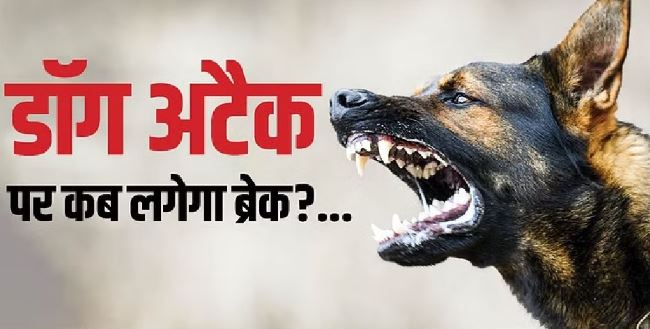 कुत्ते के काटने के बाद बदला युवक का व्यवहार, लोगों पर झपटा, पड़ोसियों ने हाथ-पैर बांध पहुंचाया अस्पताल
