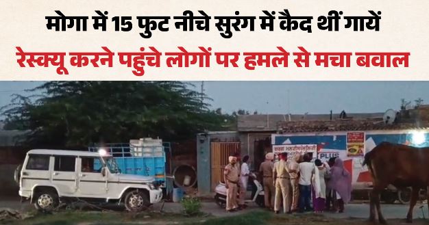 मोगा में सुरंग बनाकर कैद की थी गायें: छुड़ाने गए शिवसेना-निहंग सिंहों पर ईंटों-तलवारों से हमला, एक गंभीर घायल
