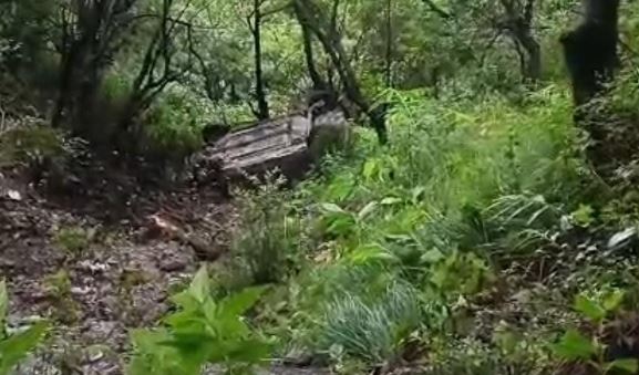 नैनीताल Accident: ताकुला पुरानी चुंगी के पास हादसा, हल्द्वानी से नैनीताल आ रही कार खाई में गिरी, 4 लोग घायल