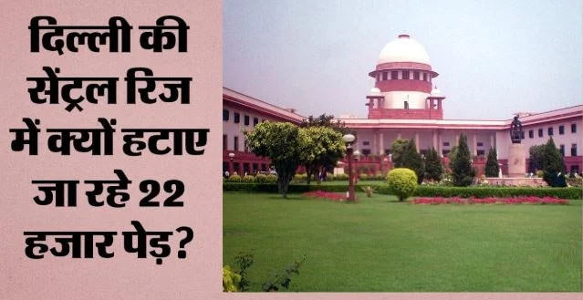 सुप्रीमकोर्ट: दिल्ली की सेंट्रल रिज से हटेंगे 13 हजार आक्रामक पेड़, अदालत ने दी मंजूरी