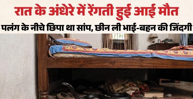 हिमाचल में दर्दनाक घटना- भाई-बहन की मौत: पेट दर्द समझ सेंकते रहे माता-पिता, उधर रगों में जहर घोल चुका था सांप