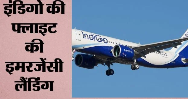 लखनऊ: बैंकॉक से दिल्ली जा रही इंडिगो फ्लाइट की लखनऊ में मेडिकल इमरजेंसी लैंडिंग, यात्री अस्पताल में भर्ती
