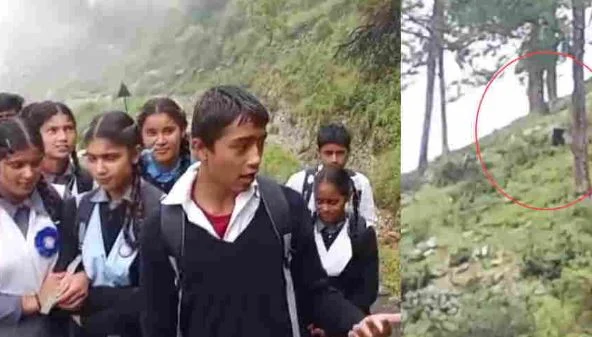 चमोली: स्कूल जा रहे थे बच्चे, अचानक सामने आ धमका भालू, 2 शावक भी थे साथ, चिल्लाते हुए जान बचाकर दौड़े