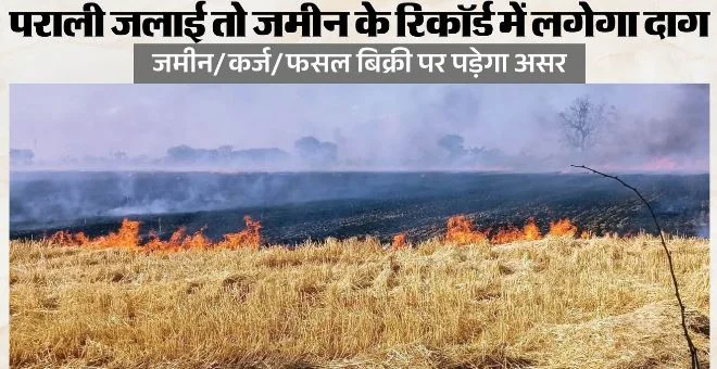 केंद्र का नया मसौदा: किसान ने पराली जलाई तो 15 माह तक नहीं छूटेगा पीछा, जमीन के रिकॉर्ड में रहेगी ‘रेड एंट्री’