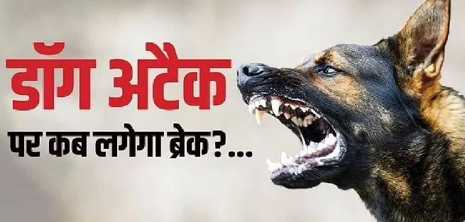 उत्तराखंड: कुत्तों के झुंड ने नीलगाय को नोच-नोचकर मार डाला, जान बचाने के लिए भागी पर..